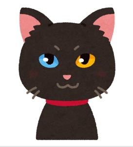 黒猫