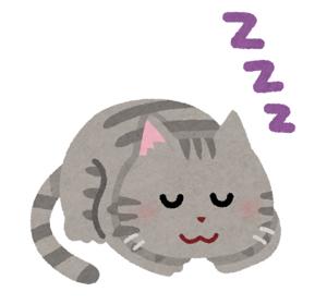 寝ている猫
